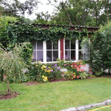 Ferienhaeuschen Gruber Vila Loosdorf Exterior foto