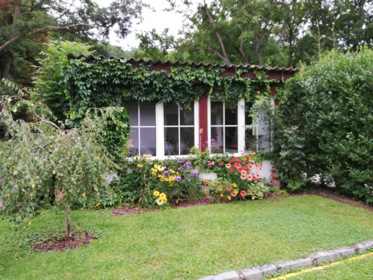 Ferienhaeuschen Gruber Vila Loosdorf Exterior foto