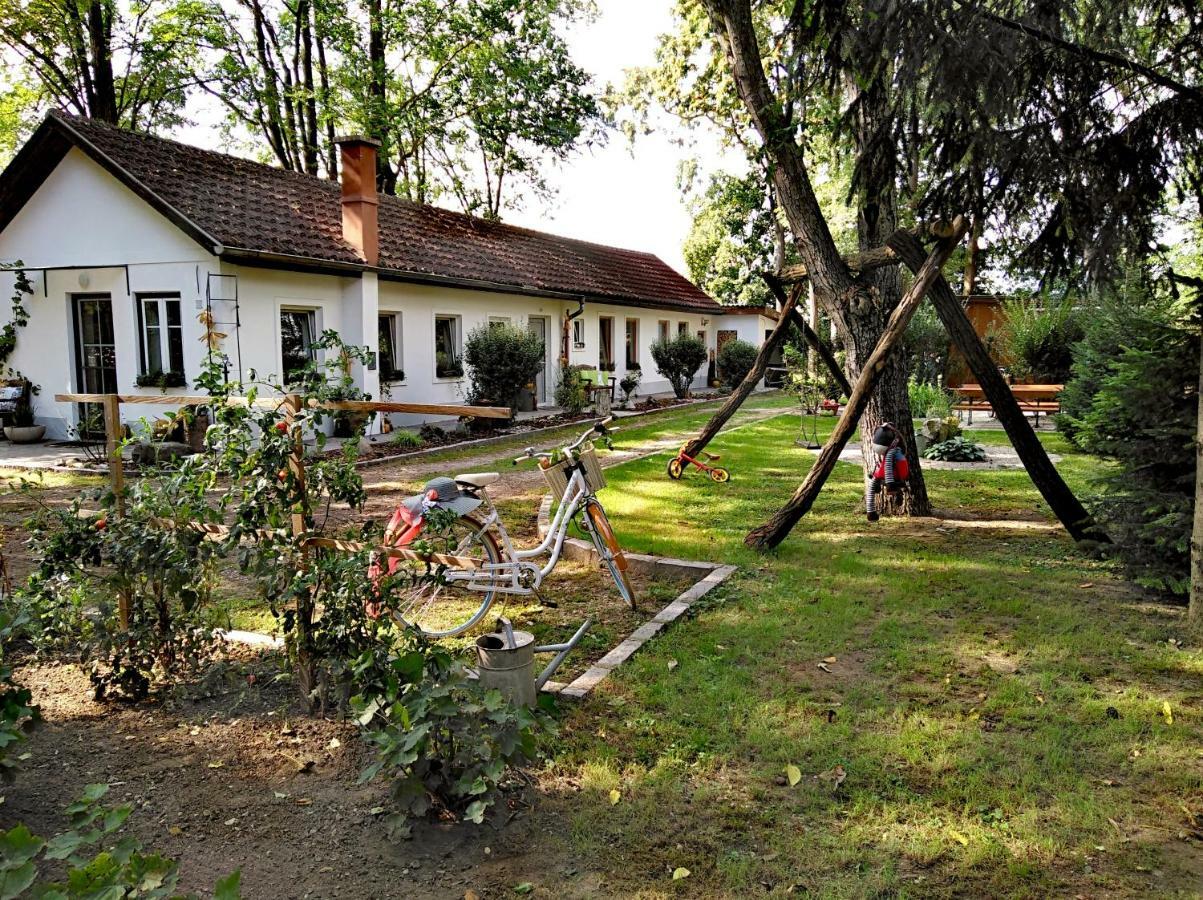 Ferienhaeuschen Gruber Vila Loosdorf Exterior foto